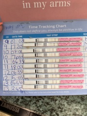 OPK