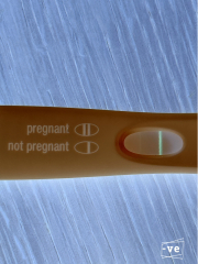 IVF/ICSI/FET May 2023