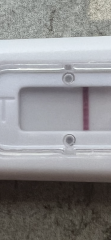 Implantation bleeding?