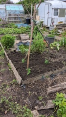 The Vegetable Patch Mark 2