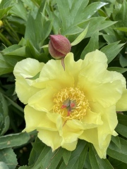 What have you done in the garden today?