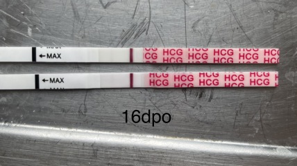 Am I pregnant?