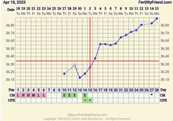 13dpo very faint line....