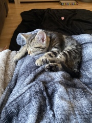 Meet baby Blossom 