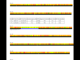 Help please on understanding Ancestry.com DNA results.