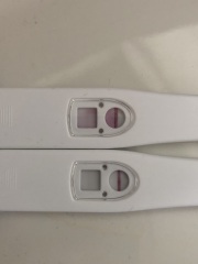 BFP or not?