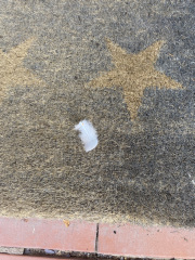 Strange events since my mum died 