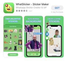 I have a scammer on Instagram- where to go from here