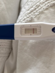 This line 16dpo worries