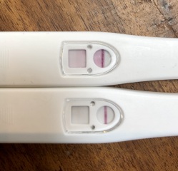 BFP or not?