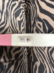 Possible pregnancy 