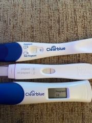 I’ve had a bfp today (see pics) - what are the next steps?!