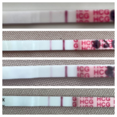 ERA/Alice/Emma infertility thread graduates/pregnancies