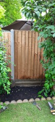 Bedding or perennial plants in very shady spot.