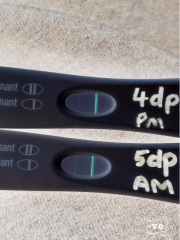 IVF/ICSI/FET May 2023