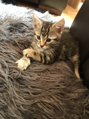 Meet baby Blossom 