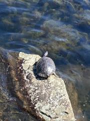 Come and tell me your dull and unexciting news 25: Calmly through the day 