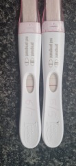 2 week wait 