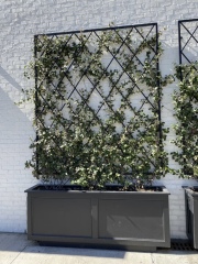 Suggestions for a trellis-type high garden fence, please?