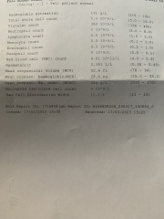 Iron levels - child query