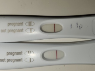 TTC February 2024 babies