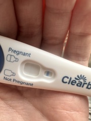 Pregnant or chemical? 