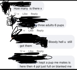 Dog breeders...