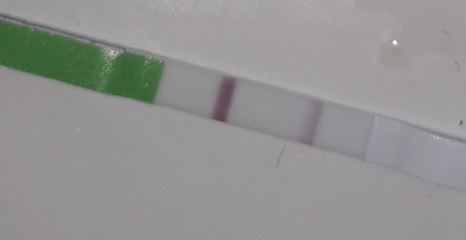 2WW - who's with me? 1DPO today!
