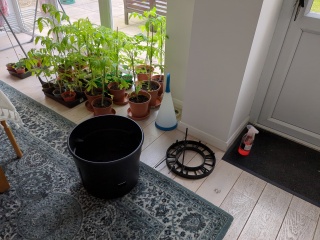 Countdown to Christmas 2023: get past the post-Christmas slump by thinking about the next one! (Thread 1.)