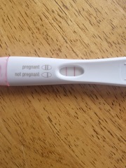 13 dpo 2-3 weeks Clearblue