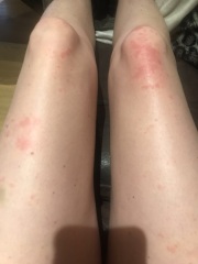 Does anyone know what this is?