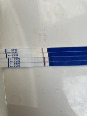 Help are these evap lines or BFPs?!
