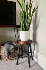 Why does everyone love chalk paint? 