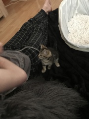 Meet baby Blossom 