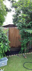 Bedding or perennial plants in very shady spot.