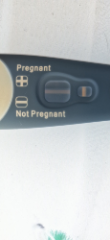 Clear blue test. Evap line or positive