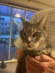 Happy 12th birthday Mithril!
