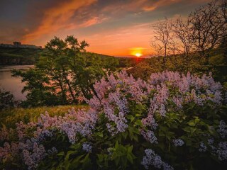 Ukraine Invasion: Part 39