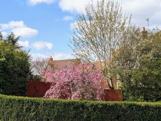 The lovely bit of your house