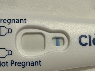 2WW - who's with me? 1DPO today!