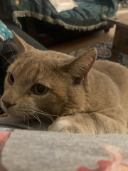 My new pal!