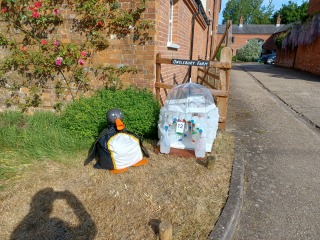 Come chat hiking with me!