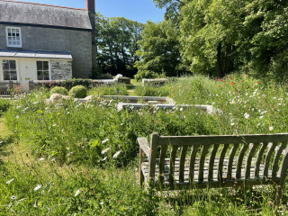 Meadow from lawn