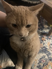 My new pal!