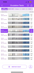 Letrozole first cycle 
