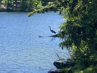 Come and tell me your dull and unexciting news 25: Calmly through the day 