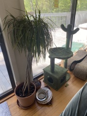 Come and tell me your dull and unexciting news 25: Calmly through the day 