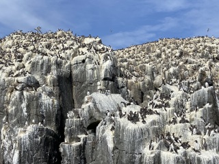 Best day out in Northumberland?