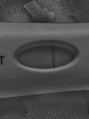 pregnancy test!