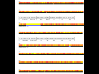 Help please on understanding Ancestry.com DNA results.